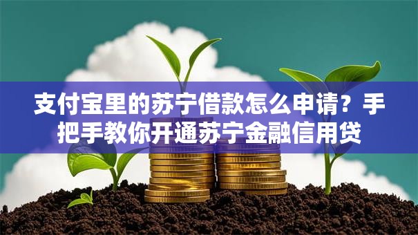 支付宝里的苏宁借款怎么申请？手把手教你开通苏宁金融信用贷