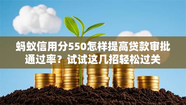 蚂蚁信用分550怎样提高贷款审批通过率？试试这几招轻松过关