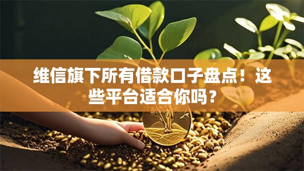 维信旗下所有借款口子盘点！这些平台适合你吗？