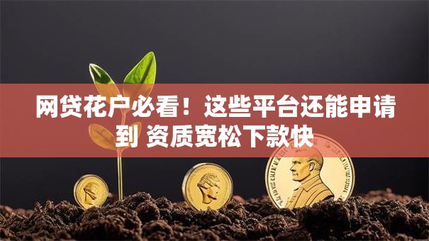 网贷花户必看！这些平台还能申请到 资质宽松下款快