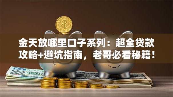 金天放哪里口子系列：超全贷款攻略+避坑指南，老哥必看秘籍！