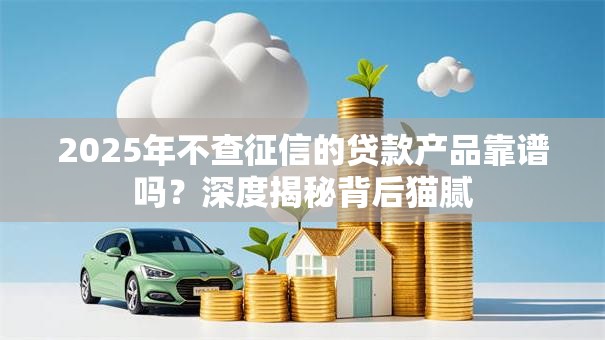 2025年不查征信的贷款产品靠谱吗？深度揭秘背后猫腻