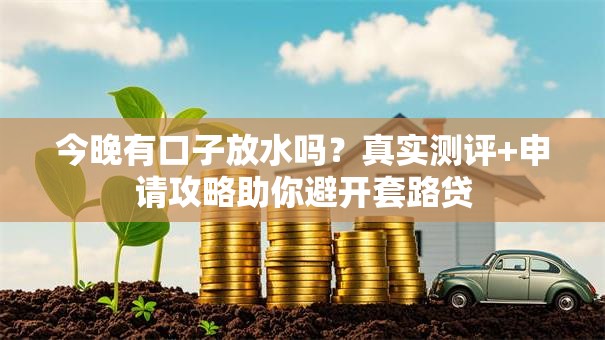 今晚有口子放水吗？真实测评+申请攻略助你避开套路贷