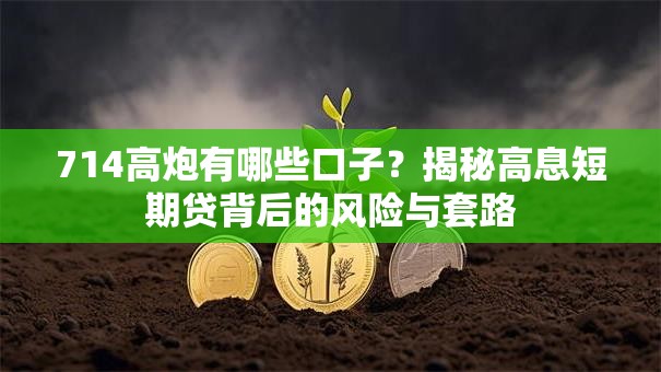 714高炮有哪些口子？揭秘高息短期贷背后的风险与套路