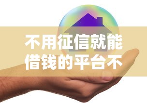不用征信就能借钱的平台不用审核是真的吗？这些风险你要懂！
