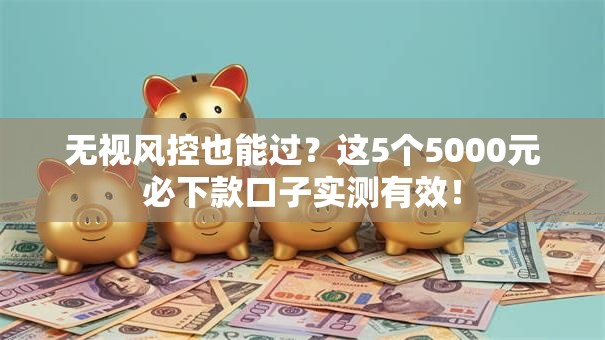 无视风控也能过？这5个5000元必下款口子实测有效！