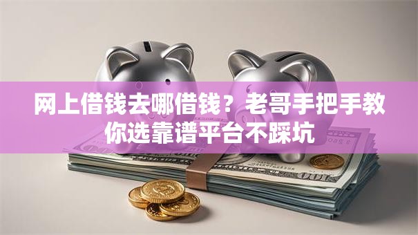 网上借钱去哪借钱？老哥手把手教你选靠谱平台不踩坑