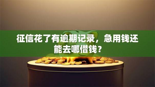 征信花了有逾期记录，急用钱还能去哪借钱？
