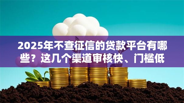 2025年不查征信的贷款平台有哪些？这几个渠道审核快、门槛低