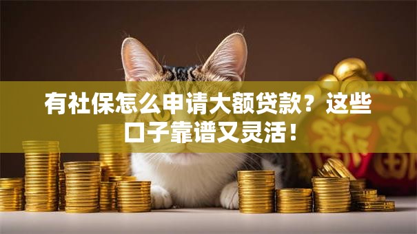 有社保怎么申请大额贷款？这些口子靠谱又灵活！