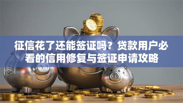 征信花了还能签证吗？贷款用户必看的信用修复与签证申请攻略