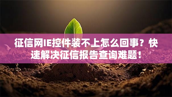 征信网IE控件装不上怎么回事？快速解决征信报告查询难题！