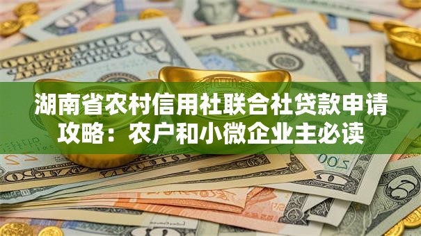湖南省农村信用社联合社贷款申请攻略：农户和小微企业主必读