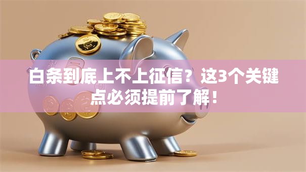 白条到底上不上征信？这3个关键点必须提前了解！