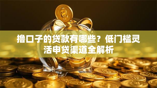 撸口子的贷款有哪些？低门槛灵活申贷渠道全解析