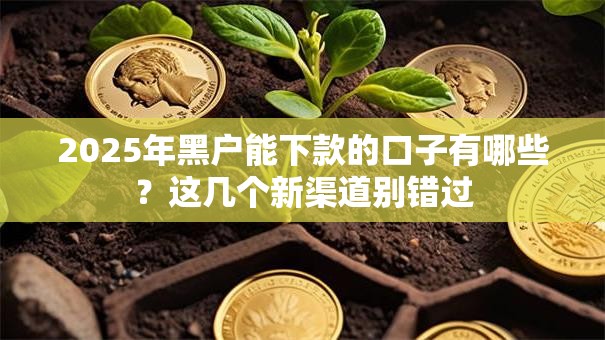 2025年黑户能下款的口子有哪些？这几个新渠道别错过
