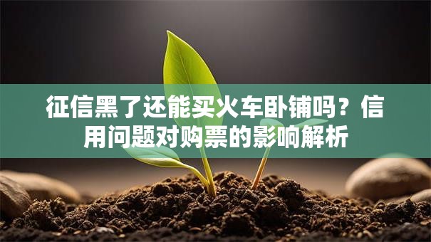 征信黑了还能买火车卧铺吗？信用问题对购票的影响解析