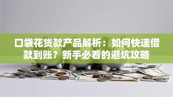 口袋花贷款产品解析：如何快速借款到账？新手必看的避坑攻略