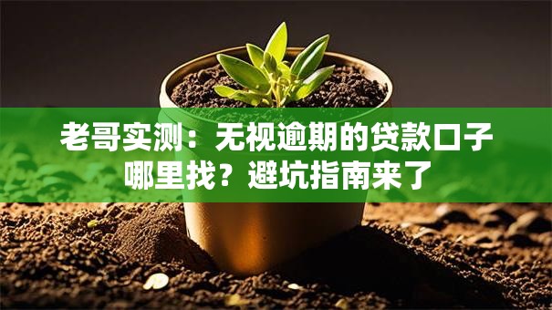 老哥实测：无视逾期的贷款口子哪里找？避坑指南来了