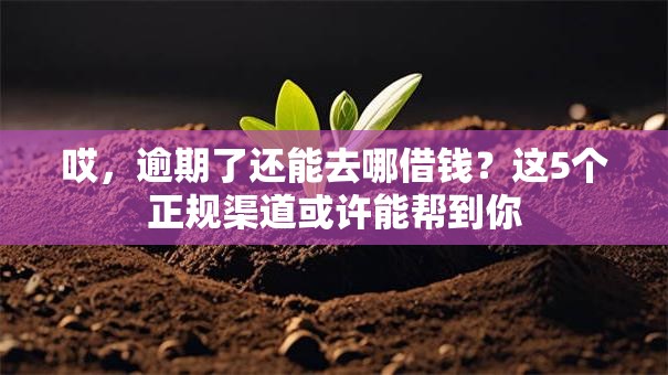 哎，逾期了还能去哪借钱？这5个正规渠道或许能帮到你