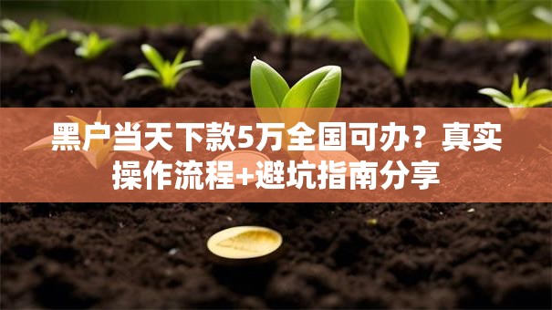 黑户当天下款5万全国可办？真实操作流程+避坑指南分享
