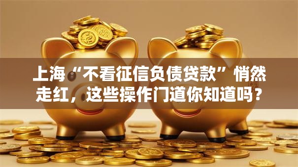 上海“不看征信负债贷款”悄然走红，这些操作门道你知道吗？