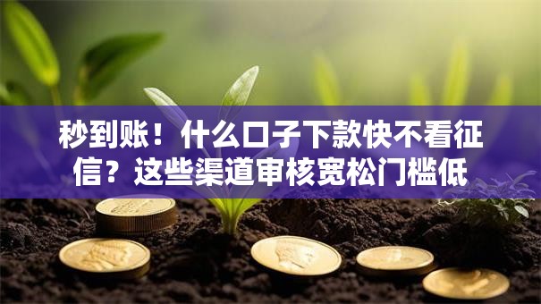 秒到账！什么口子下款快不看征信？这些渠道审核宽松门槛低