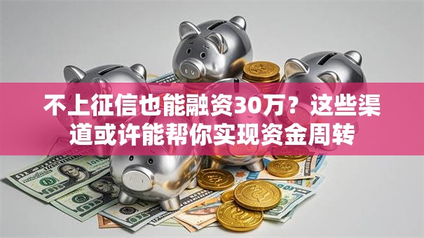 不上征信也能融资30万？这些渠道或许能帮你实现资金周转