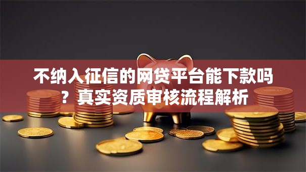 不纳入征信的网贷平台能下款吗？真实资质审核流程解析