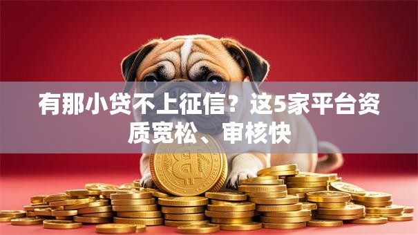 有那小贷不上征信？这5家平台资质宽松、审核快