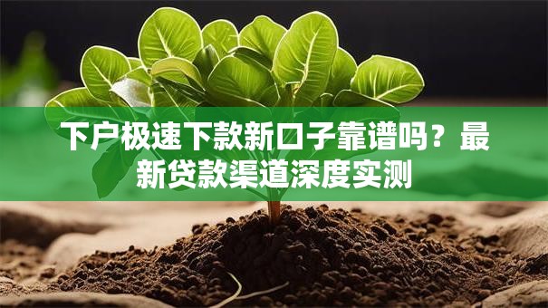 下户极速下款新口子靠谱吗？最新贷款渠道深度实测