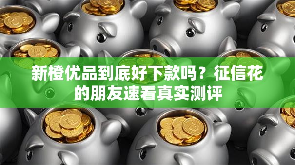 新橙优品到底好下款吗？征信花的朋友速看真实测评