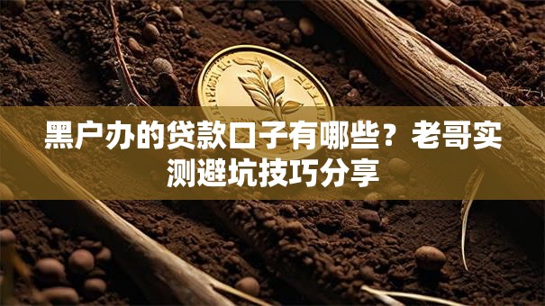 黑户办的贷款口子有哪些？老哥实测避坑技巧分享