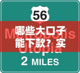 哪些大口子能下款？实测这5类正规平台通过率高、额度灵活！