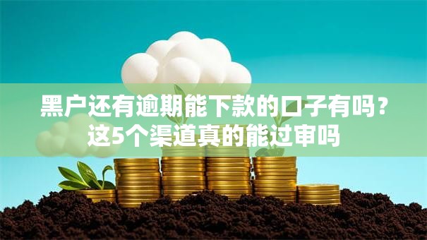黑户还有逾期能下款的口子有吗？这5个渠道真的能过审吗