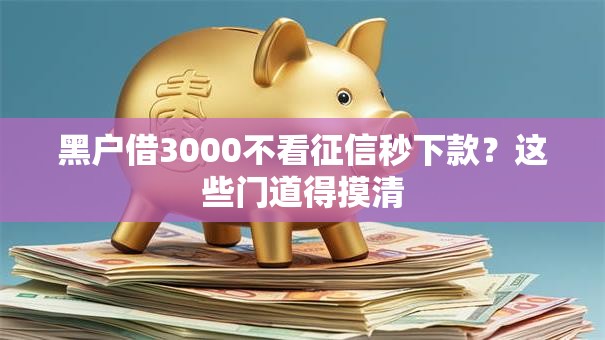 黑户借3000不看征信秒下款？这些门道得摸清