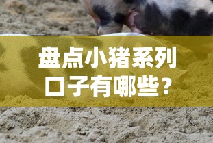 盘点小猪系列口子有哪些?贷款类真实评测+避坑指南 盘点小猪系列口子有哪些?贷款类真实评测+避坑指南