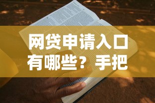 网贷申请入口有哪些？手把手教你选正规平台与避坑指南