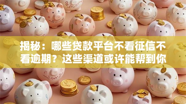 揭秘：哪些贷款平台不看征信不看逾期？这些渠道或许能帮到你！