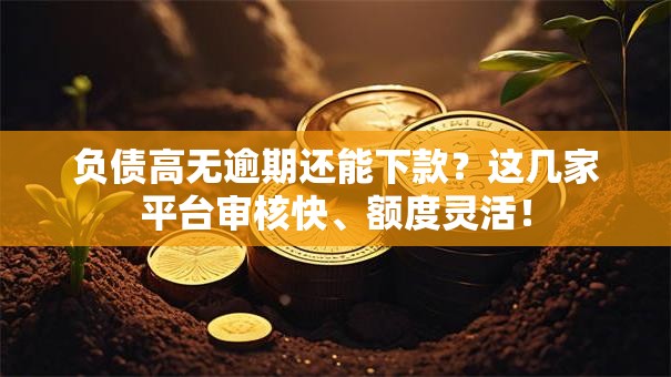 负债高无逾期还能下款？这几家平台审核快、额度灵活！