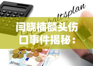 闫晓楠额头伤口事件揭秘：贷款纠纷背后的风险防范指南