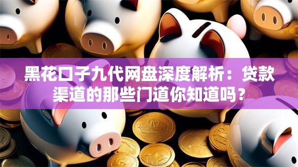 黑花口子九代网盘深度解析：贷款渠道的那些门道你知道吗？