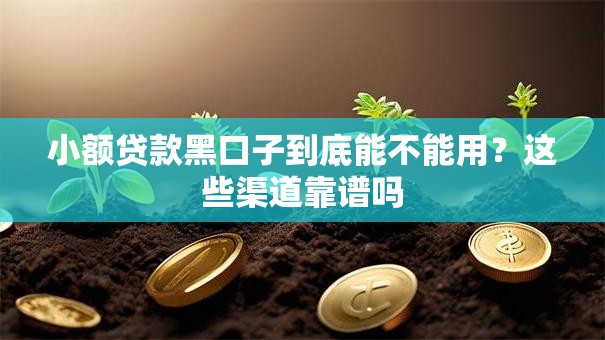 小额贷款黑口子到底能不能用？这些渠道靠谱吗