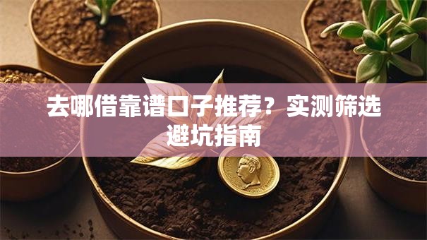 去哪借靠谱口子推荐？实测筛选避坑指南