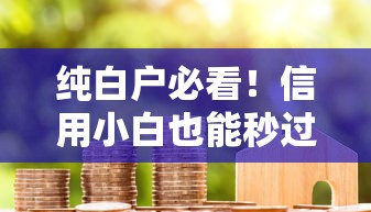 纯白户必看！信用小白也能秒过的下款口子推荐