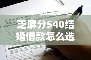 芝麻分540结婚借款怎么选？这些正规平台更靠谱