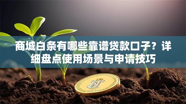 商城白条有哪些靠谱贷款口子？详细盘点使用场景与申请技巧