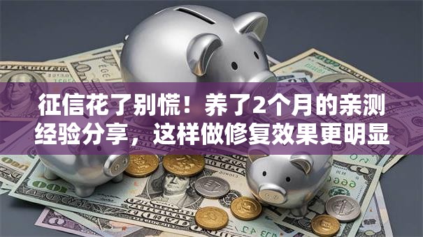 征信花了别慌！养了2个月的亲测经验分享，这样做修复效果更明显