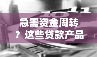 急需资金周转？这些贷款产品最快1小时到账，审批条件全解析！