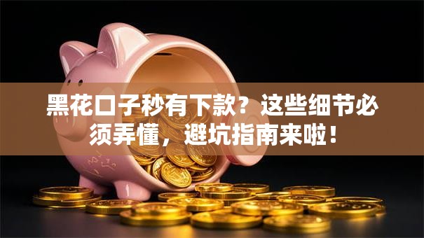 黑花口子秒有下款？这些细节必须弄懂，避坑指南来啦！